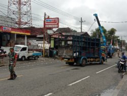 Pasca Bencana, TNI dan PLN Bersinergi Bersihkan Jalur Jaringan Listrik dari Ranting Pohon di Wilayah Pacitan