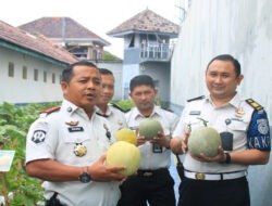 Lapas Banyuwangi Buktikan Lahan Terbatas Bukan Penghalang Dukung Program Swasembada Pangan