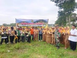 Panen Raya Jagung, Babinsa dan BUMDes Bersinergi Perkuat Ketahanan Pangan Desa
