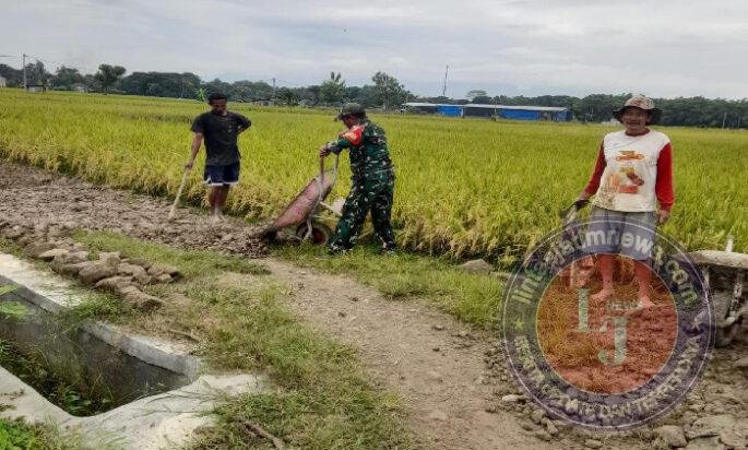 Warga Kerja Bakti Timbun Jalan, Babinsa Kodim Ponorogo Bantu