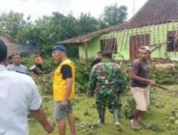 Angin Kencang Robohkan Pohon, Rumah Warga Kejayan Rusak, Respons Cepat Babinsa dan BPBD Cegah Dampak Lebih Besar