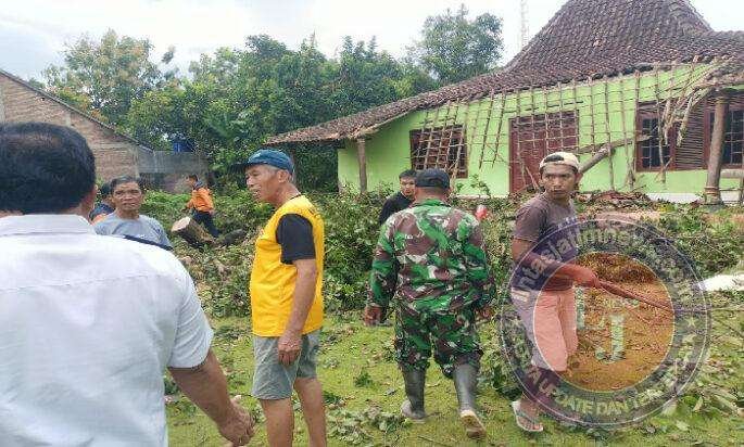 Angin Kencang Robohkan Pohon, Rumah Warga Kejayan Rusak, Respons Cepat Babinsa dan BPBD Cegah Dampak Lebih Besar