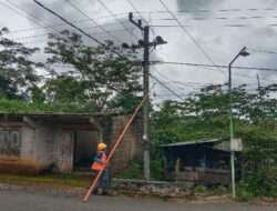 TNI dan PLN Bersinergi Bersihkan Jalur Jaringan Listrik Dari Ranting Pohon Di Wilayah Punung