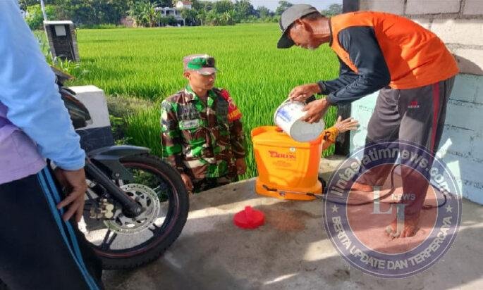 Babinsa Turun ke Sawah, Dampingi Petani Krandegan Cegah Serangan Hama Padi