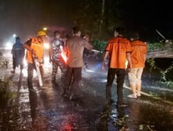 TNI dan Personel Gabungan Evakuasi Pohon Tumbang di Jalan Nasional Trenggalek
