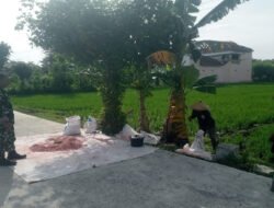 Pendampingan Petani oleh Babinsa Kodim Ponorogo Perkuat Hanpangan di Desa