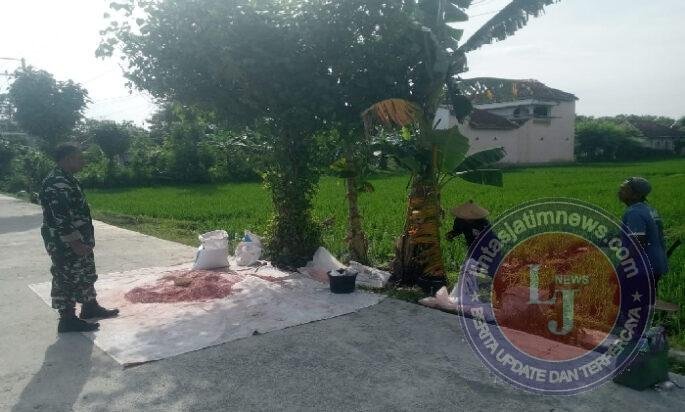 Pendampingan Petani oleh Babinsa Kodim Ponorogo Perkuat Hanpangan di Desa