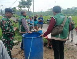 TNI Turun ke Sawah, Bantu Petani Trenggalek Lawan Hama Wereng