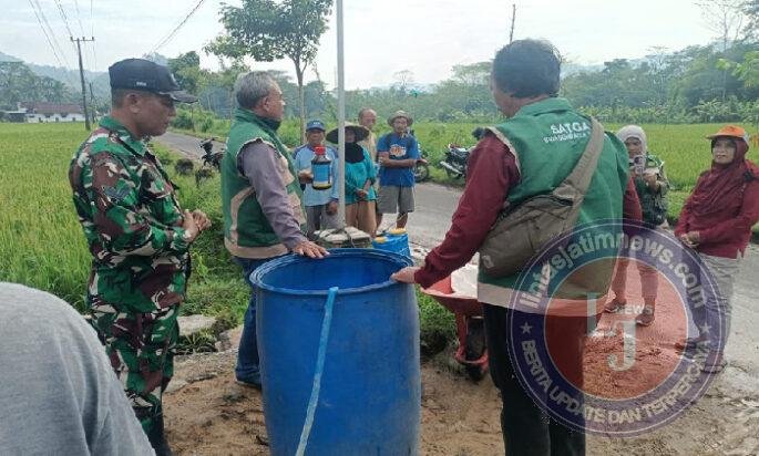 TNI Turun ke Sawah, Bantu Petani Trenggalek Lawan Hama Wereng