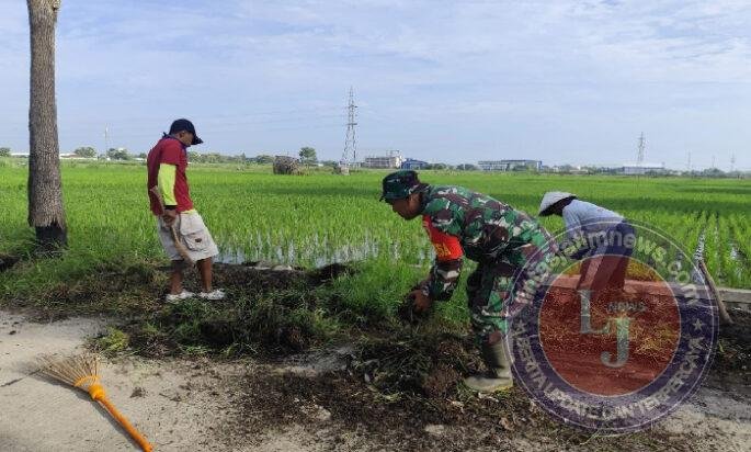 Semangat Gotong Royong Warga Winongo, Babinsa Turun Langsung Kerja Bakti Bersama Masyarakat