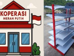 Misteri Ratusan Miliar Proyek Rak KDMP: Kantor Fiktif, Gudang Militer, dan Aroma Impor Murahan