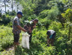 Hijaukan Lahan Desa, Babinsa Kebonsari Dampingi Warga Tanam Pohon Sukun