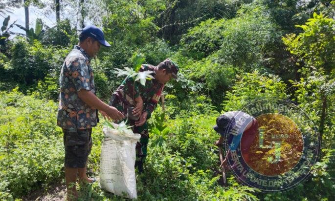 Hijaukan Lahan Desa, Babinsa Kebonsari Dampingi Warga Tanam Pohon Sukun