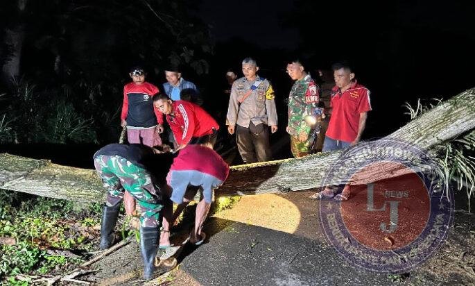 TNI-Polri Sigap Evakuasi Pohon Tumbang Akibat Cuaca Ekstrem di Trenggalek