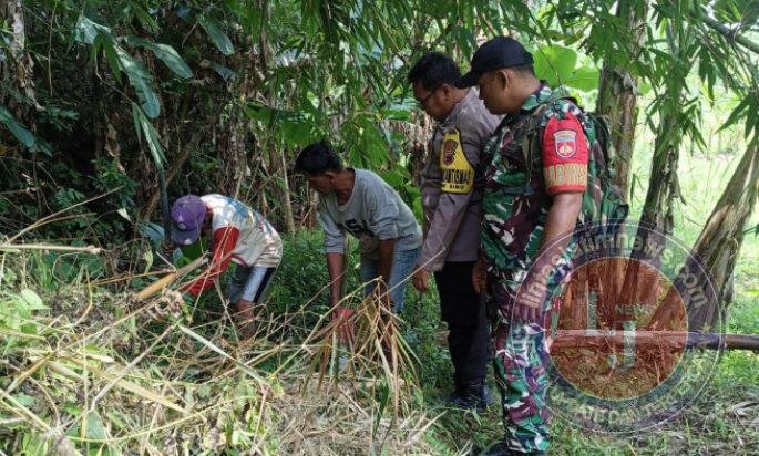 Babinsa Simo Kawal Pengukuran Tanah Warga, Cegah Sengketa Lahan Sejak Dini