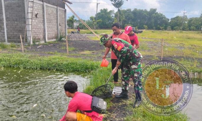 Babinsa dan Warga Krapyak Bersinergi Kembangkan Budidaya Ikan Patin untuk Ketahanan Pangan
