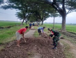 Jalan ke Sawah Lebih Mudah, Babinsa dan Warga Desa Bulu Gotong Royong Ratakan Tanah Urukan