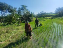 Aktif Pendampingan, Upaya Anggota Ponorogo Sejahterakan Petani