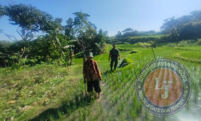 Aktif Pendampingan, Upaya Anggota Ponorogo Sejahterakan Petani
