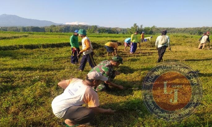 Aksi Gotong Royong Babinsa dan Warga Bersihkan Lapangan Desa Mruwak