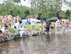 Jaga Ekosistem Sungai, Pemkab Banyuwangi Tebar Ribuan Ikan di Wisata Gerbang Raung