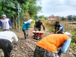 Demi Akses Lebih Baik, Babinsa Jatisari dan Warga Gotong Royong Keraskan Jalan Desa
