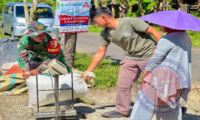 Bentuk Kemanunggalan TNI Dengan Rakyta, Babinsa Koramil 0801/01 Pacitan Turun Bantu Petani Panen