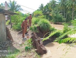 Tanggamus Darurat! Tanggul Jebol Mengancam Nyawa, Pemerintah Masih Sebatas Survei?
