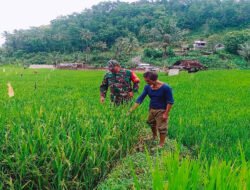 Babinsa Kodim Ponorogo Sebagai Motivator dan Perekat Kemanunggalan