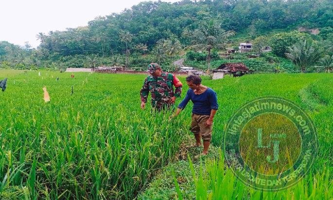 Babinsa Kodim Ponorogo Sebagai Motivator dan Perekat Kemanunggalan