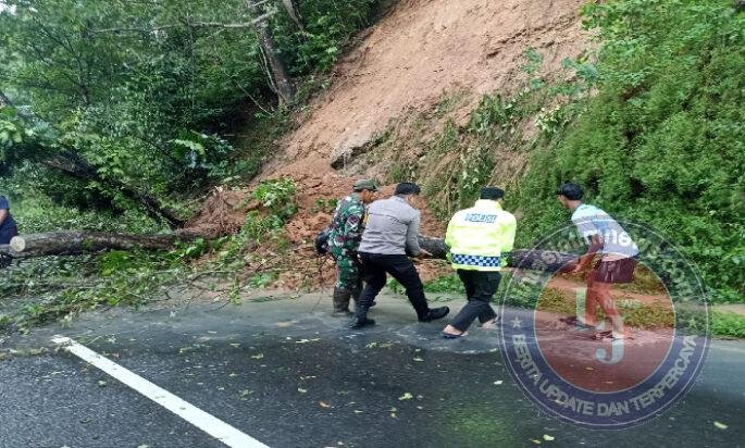 Sigap Atasi Bencana Pohon Tumbang, Babinsa Koramil 0801/03 Pacitan Himbau Warga Untuk Waspada