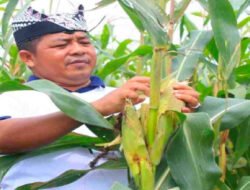 Jejak Sang Pengayom “I Wayan Nurasta Wibawa” Kala Bakti Menjadi Sejarah di Ujung Timur Jawa