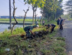 Tak Sekadar Tugas, Babinsa Wonoasri Bangun Kebersamaan Lewat Karya Bakti