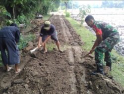 Babinsa Patihan dan Warga Bahu Membahu Perbaiki Akses Jalan Persawahan