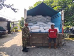 Demi Musim Tanam yang Lebih Pasti, Babinsa Bulakrejo Kawal Penyaluran Benih Bersubsidi