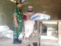 Pastikan Stok Beras Aman dan Ketahanan Pangan Terjaga, Ini Yang Dilakukan Babinsa Koramil 04/Nguntoronadi