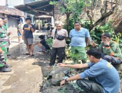 Sukseskan Solo Berseri, Babinsa Serengan Kerja Bakti Bersihan Lingkungan