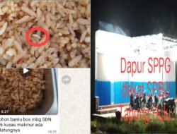 Potret Buram MBG di Kampar: Nasi Goreng Berbelatung ‘Dihidangkan’ ke Siswa SDN 016 Kusau Makmur