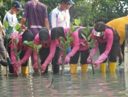 Sambut HUT ke-46, YKB Tanjung Perak Tanam Mangrove Pulihkan Lahan Kritis