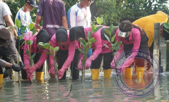 Sambut HUT ke-46, YKB Tanjung Perak Tanam Mangrove Pulihkan Lahan Kritis