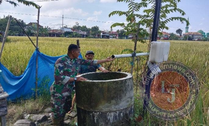 Pendampingan Petani oleh Babinsa Kodim Ponorogo Majukan Sektor Pertanian di Desa