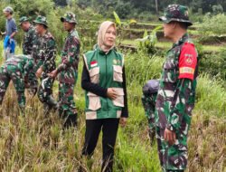 Babinsa Kodim 0728/Wonogiri Asah Kemampuan Pertanian, Siap Kawal Ketahanan Pangan Nasional