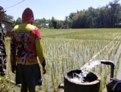 Beri Solusi Pertanian, Babinsa Balerejo Hidupkan Harapan Petani di Tengah Keterbatasan Air