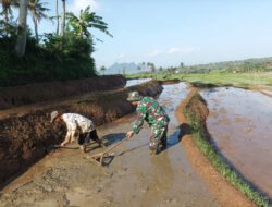 Bantu Olah Lahan Upaya Babinsa Kodim Ponorogo Sejahterakan Petani