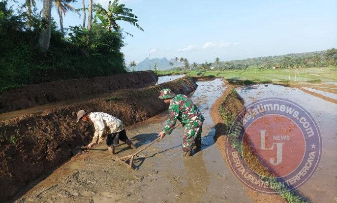 Bantu Olah Lahan Upaya Babinsa Kodim Ponorogo Sejahterakan Petani