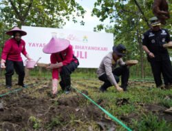 Polres Bojonegoro Sulap Lahan Kosong Jadi Kebun Jagung Wujudkan Swasembada Pangan