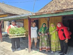 PDI Perjuangan Lamongan Rayakan Hari Kartini dengan Berbagi Bibit Tanaman Pendamping Padi Sebagai Wujud Ketahanan Pangan Keluarga