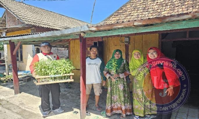 PDI Perjuangan Lamongan Rayakan Hari Kartini dengan Berbagi Bibit Tanaman Pendamping Padi Sebagai Wujud Ketahanan Pangan Keluarga