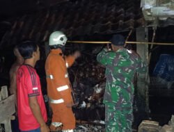 Sinergitas TNI-Polri dan Damkar Trenggalek Padamkan Kebakaran Kandang Sapi di Durenan
