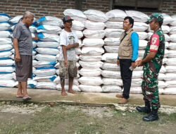 Di Balik Senyum Petani Tanjungrejo, Ada Peran Babinsa dan Penyuluh Pastikan Pupuk Tepat Sasaran